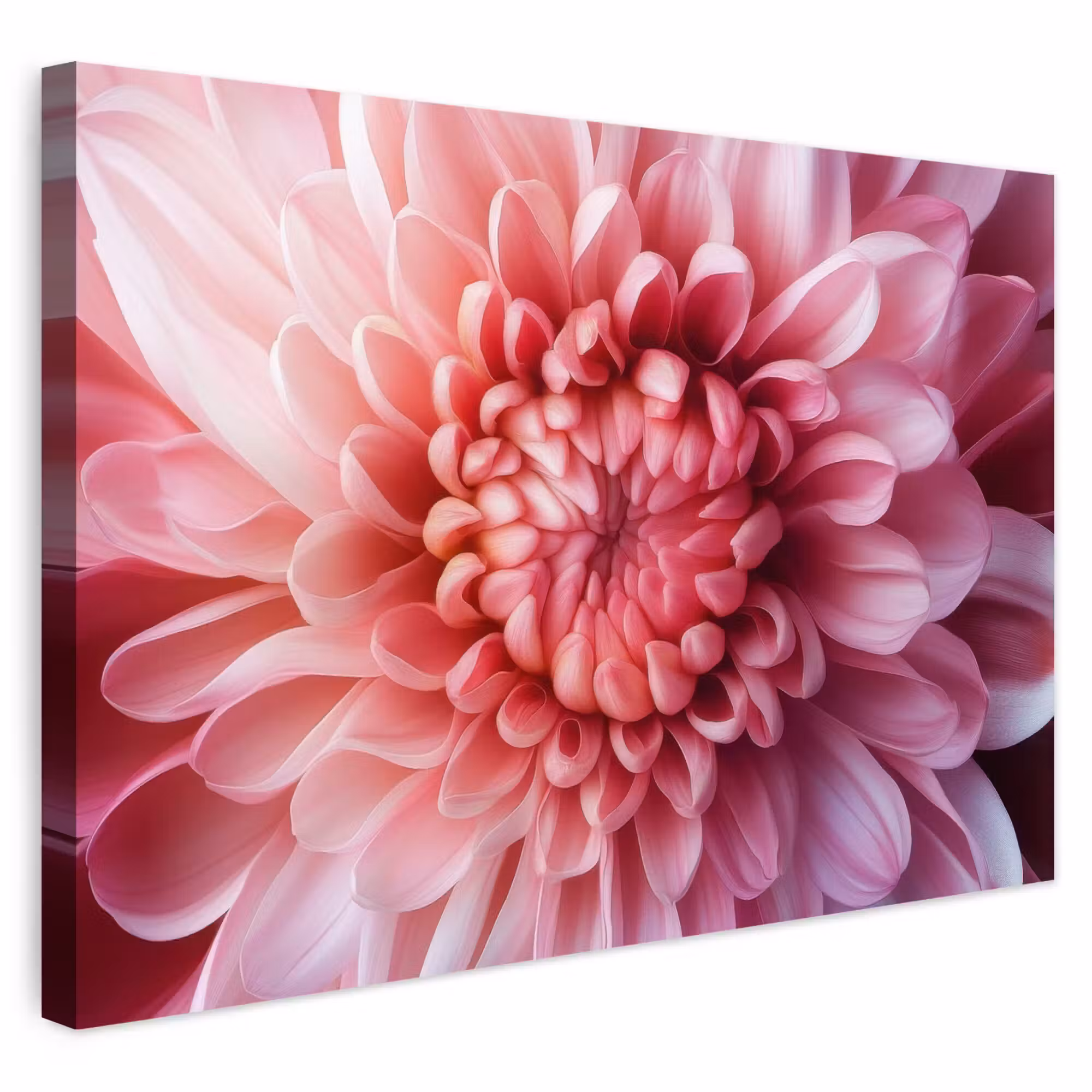 Outdoor Leinwand - Dahlie - Blume - Nahaufnahme - Rosa