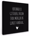 Herinner je gisteren droom over morgen geniet vandaag - Spreuken - Quotes Tuinposter op houten frame 2 cm dik klein -3d