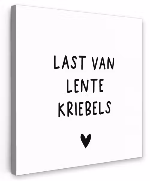 Last van lentekriebels - Spreuken - Quotes Tuinposter op houten frame 2 cm dik klein -3d
