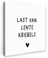 Last van lentekriebels - Spreuken - Quotes Tuinposter op houten frame 2 cm dik klein -3d