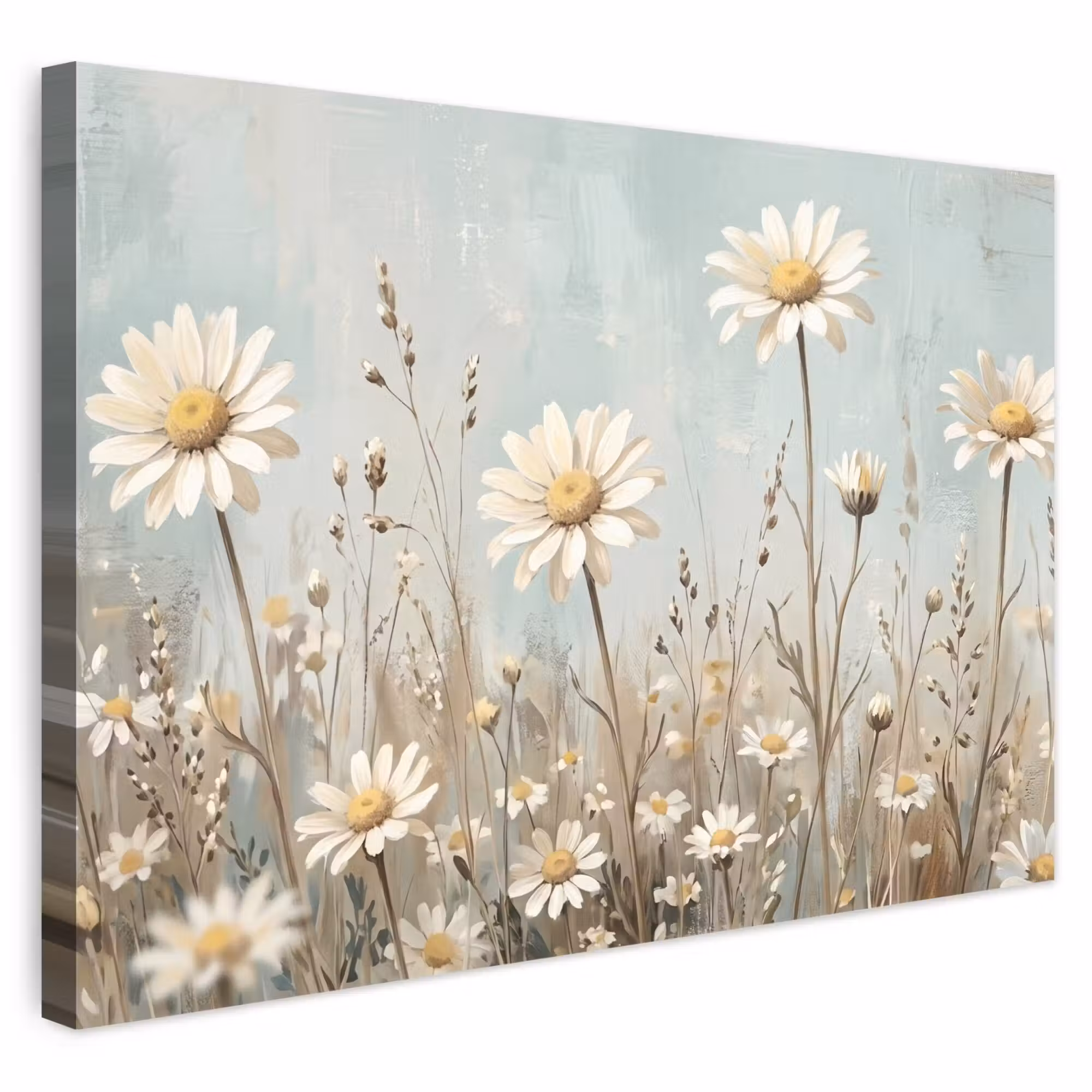 Outdoor Leinwand - Gänseblümchen - Illustration - Weiß