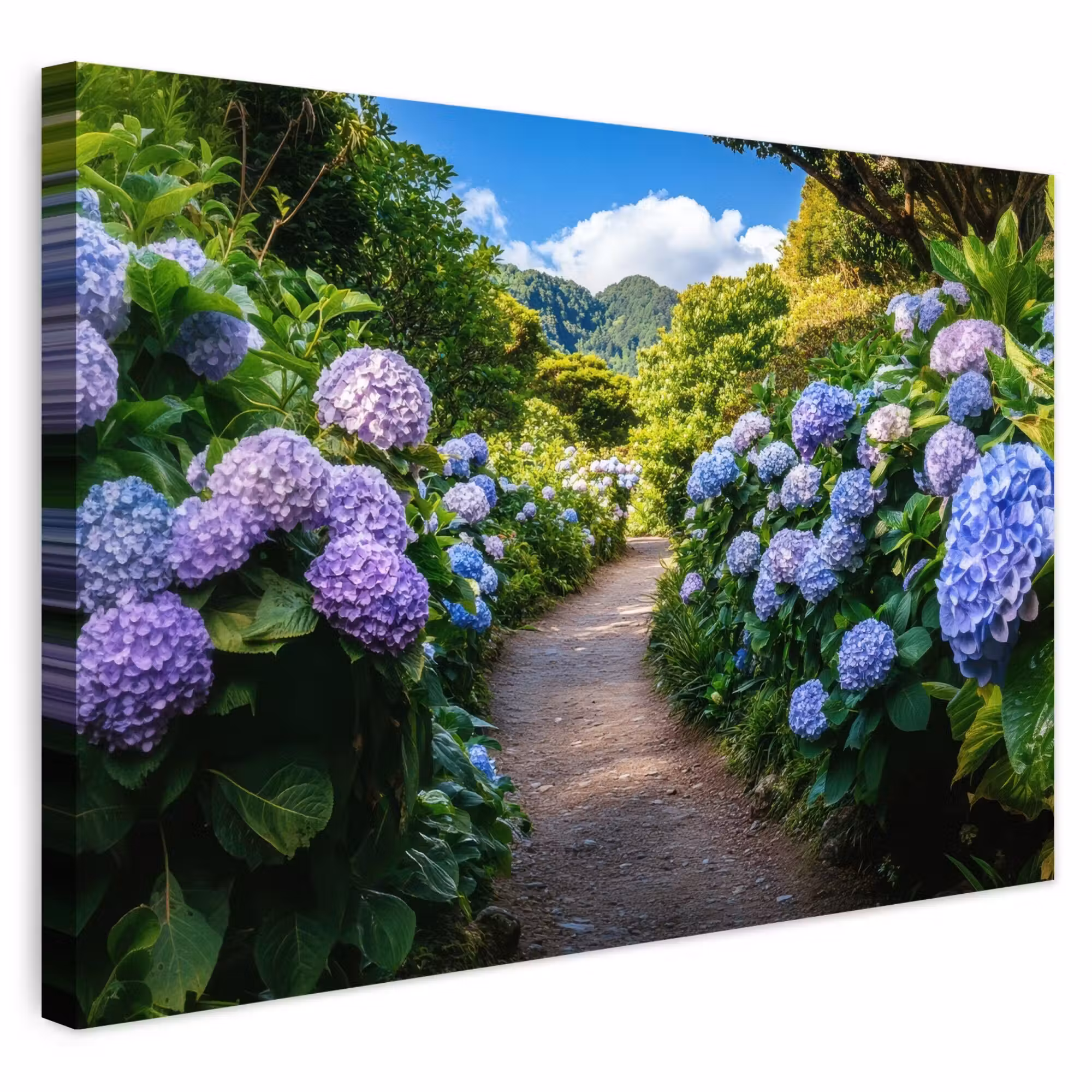 Outdoor Leinwand - Hortsensia - Kröte - Blumen