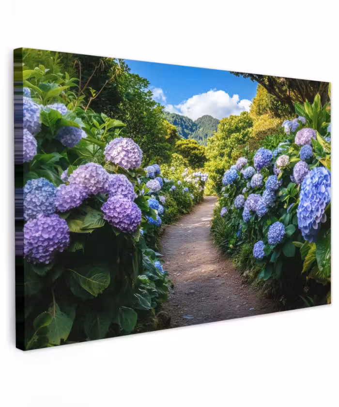 Outdoor Leinwand - Hortsensia - Kröte - Blumen