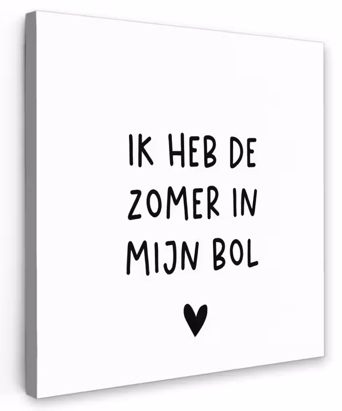 Ik heb de zomer in mijn bol - André Hazes - Spreuken - Quotes Tuinposter op houten frame 2 cm dik klein -3d