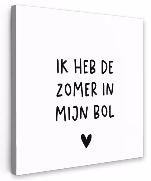 Ik heb de zomer in mijn bol - André Hazes - Spreuken - Quotes Tuinposter op houten frame 2 cm dik klein -3d