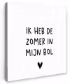Ik heb de zomer in mijn bol - André Hazes - Spreuken - Quotes Tuinposter op houten frame 2 cm dik klein -3d
