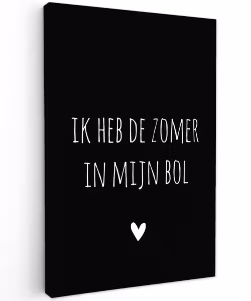 Ik heb de zomer in mijn bol - Quotes - Spreuken - André Hazes Tuinposter op houten frame 2 cm dik klein -3d