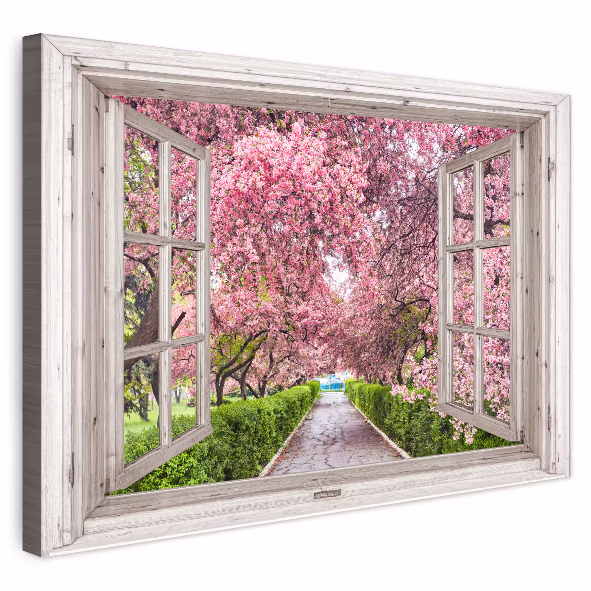 Outdoor Leinwand - Japanisch - Sakura - Blüte - Baum - Blütenzweige - Durchsichtig