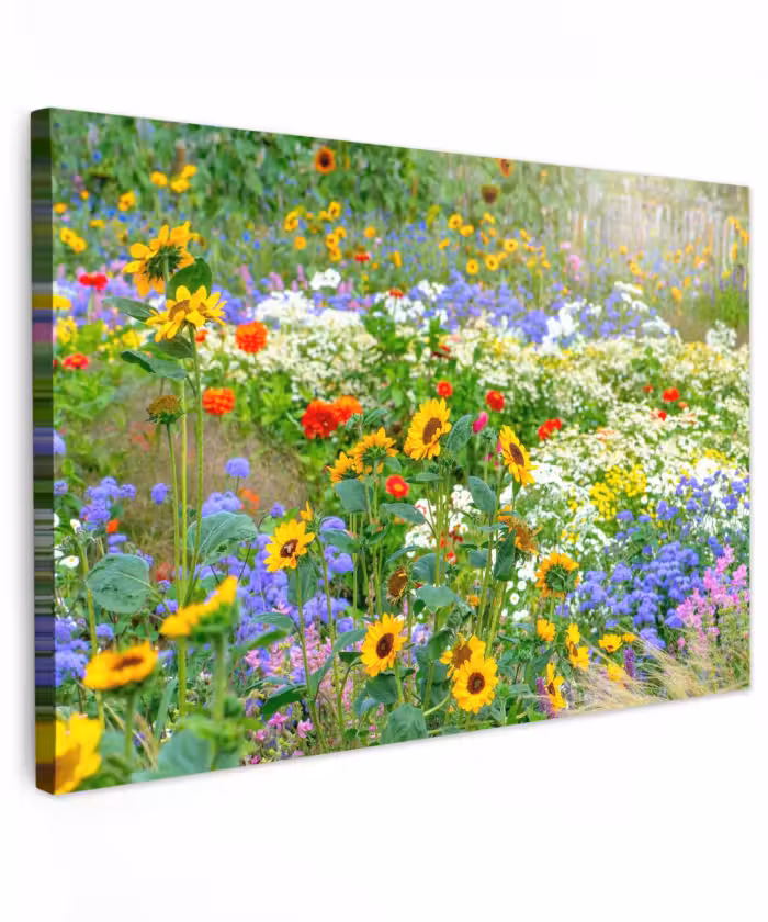 Outdoor Leinwand - Sommerblumen in voller Blüte