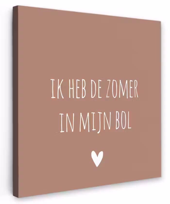Spreuken - Ik heb de zomer in mijn bol - Quotes - André Hazes Tuinposter op houten frame 2 cm dik klein -3d