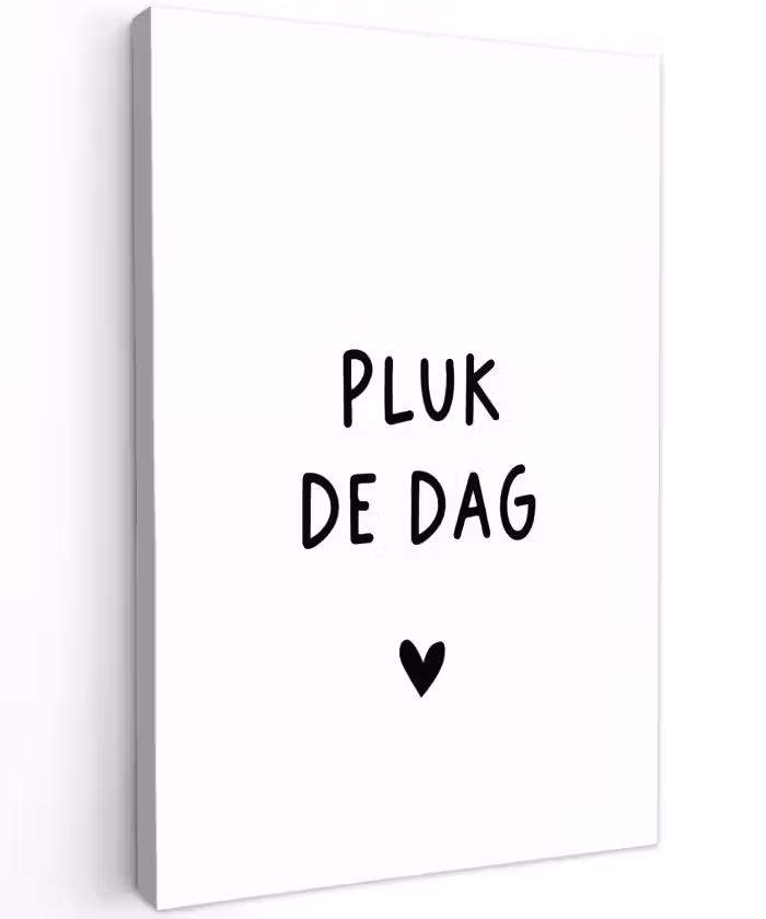 Spreuken - Pluk de dag - Quotes - Carpe diem Tuinposter op houten frame 2 cm dik klein -3d