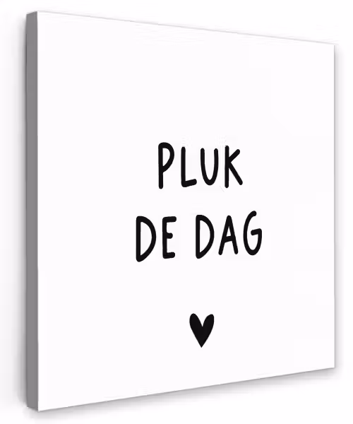 Spreuken - Quotes - Pluk de dag - Carpe diem Tuinposter op houten frame 2 cm dik klein -3d