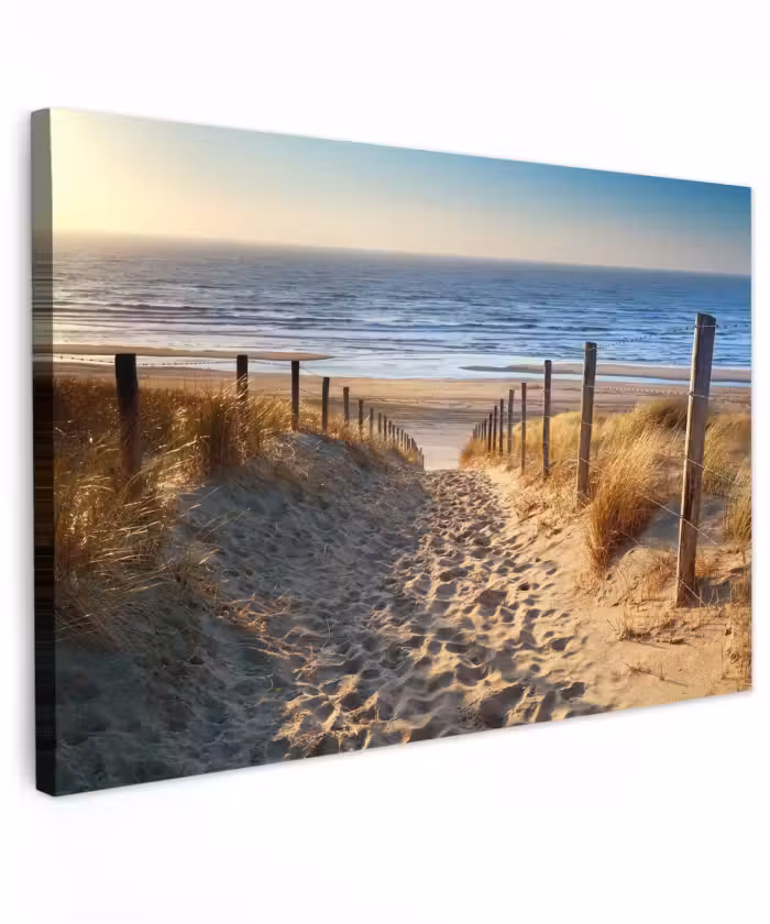 Outdoor Leinwand - Strand - Meer - Niederlande - Dünen - Sonne