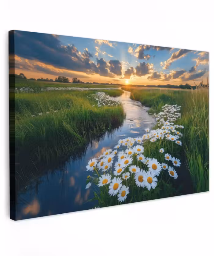 Outdoor Leinwand - Strom - Landschaft - Gänseblümchen