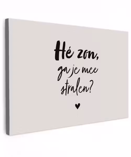 Tekst - Hé zon, ga je mee stralen? - Quotes - Zomer Tuinposter op houten frame 2 cm dik klein -3d