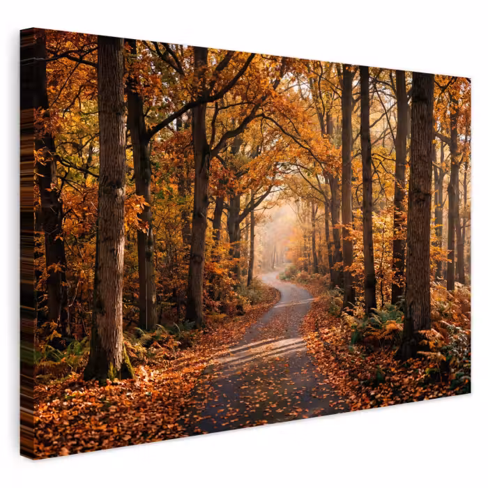 Outdoor Leinwand - Waldweg - Herbstwald - Blätter - Orange - Nostalgisch