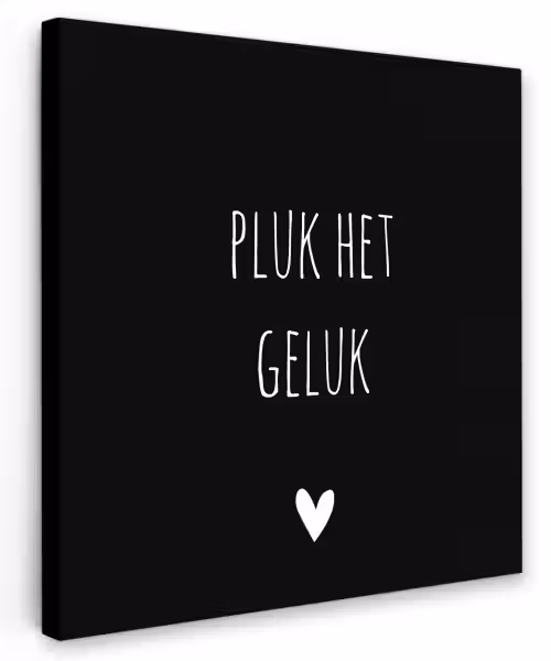 Quote - Spreuken - Pluk het geluk Tuinposter op houten frame 2 cm dik klein -3d