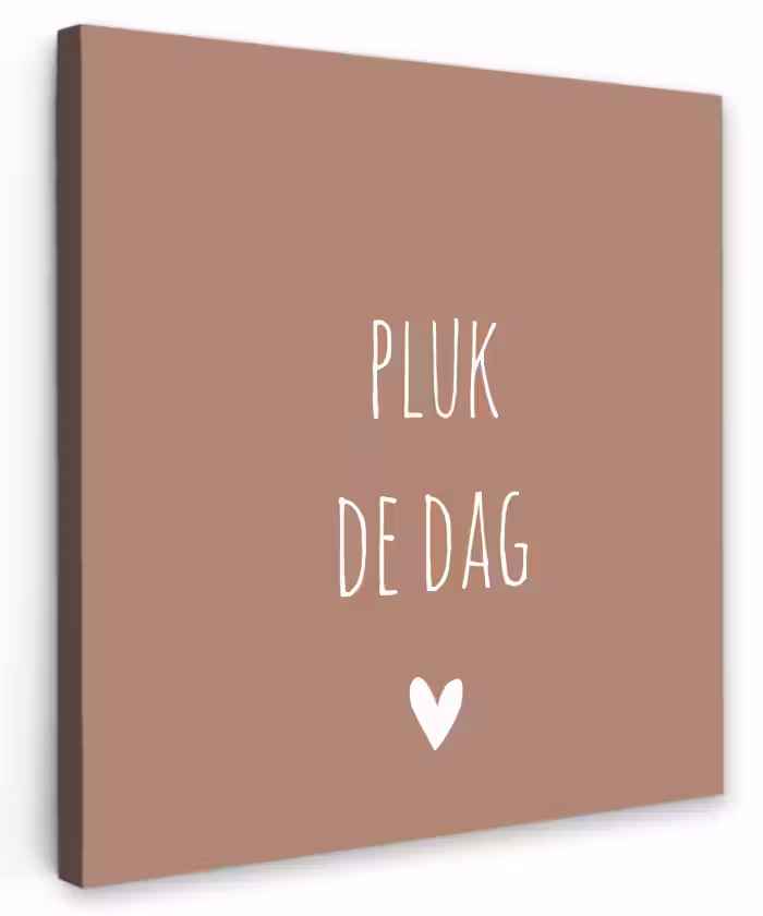 Quotes - Carpe diem - Pluk de dag - Spreuken Tuinposter op houten frame 2 cm dik klein -3d