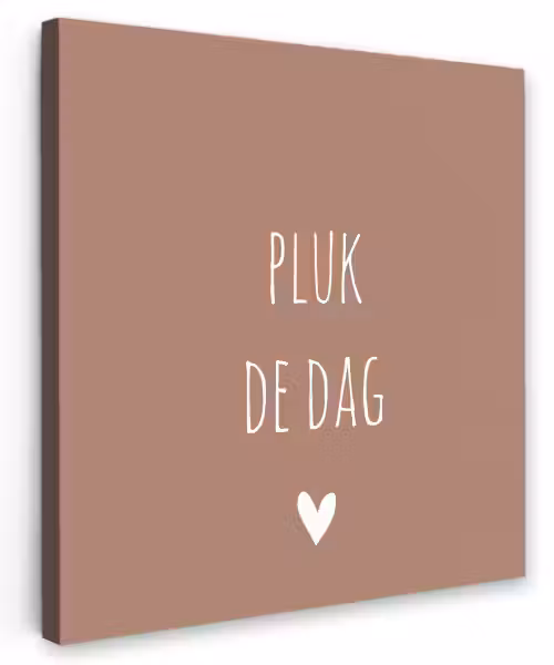 Quotes - Carpe diem - Pluk de dag - Spreuken Tuinposter op houten frame 2 cm dik klein -3d
