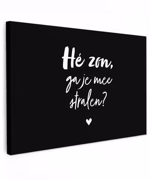 Quotes - Hé zon, ga je mee stralen? - Zomer - Tekst - Zon Tuinposter op houten frame 2 cm dik klein -3d