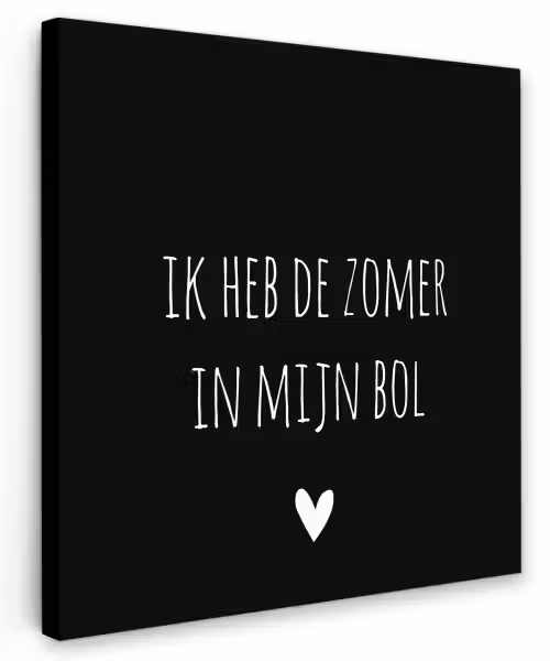 Quotes - Ik heb de zomer in mijn bol - André Hazes - Spreuken Tuinposter op houten frame 2 cm dik klein -3d