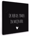 Quotes - Ik heb de zomer in mijn bol - André Hazes - Spreuken Tuinposter op houten frame 2 cm dik klein -3d
