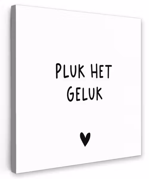 Quotes - Pluk het geluk - Spreuken Tuinposter op houten frame 2 cm dik klein -3d