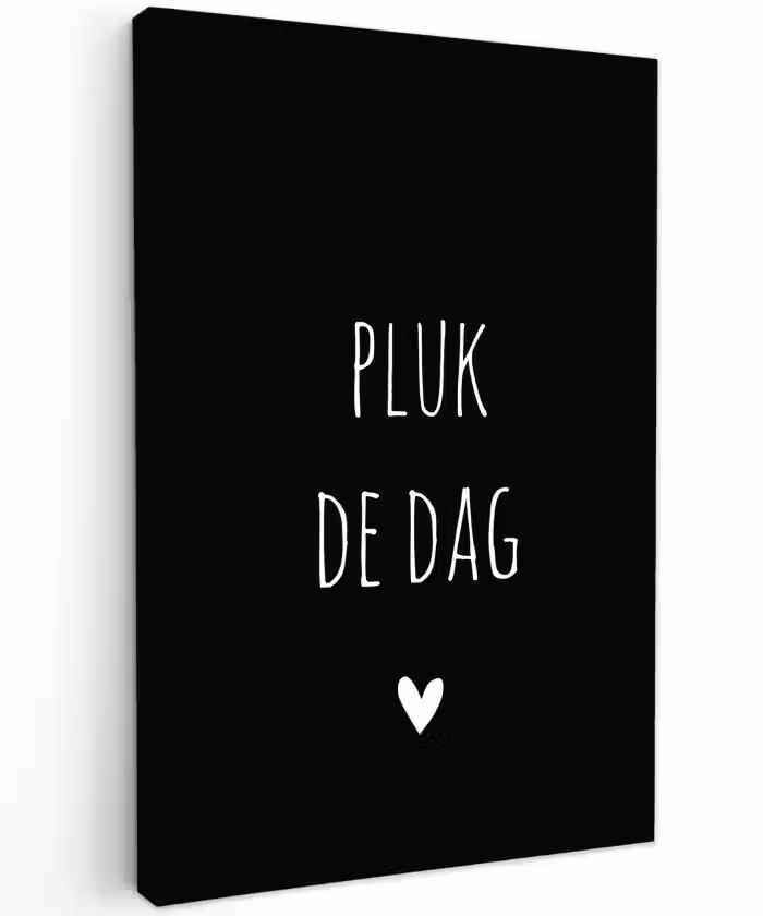 Quotes - Pluk de dag - Spreuken - Carpe diem Tuinposter op houten frame 2 cm dik klein -3d