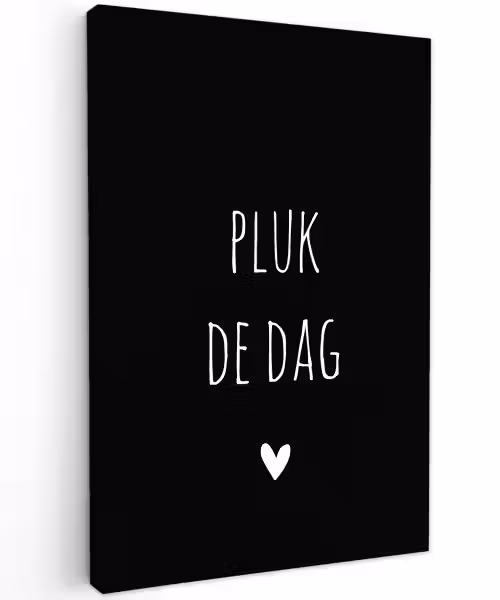 Quotes - Pluk de dag - Spreuken - Carpe diem Tuinposter op houten frame 2 cm dik klein -3d
