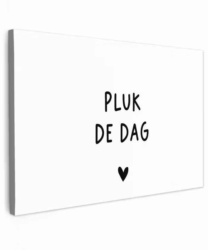 Quotes - Pluk de dag - Tekst - Zwart wit - Hartje Tuinposter op houten frame 2 cm dik klein -3d