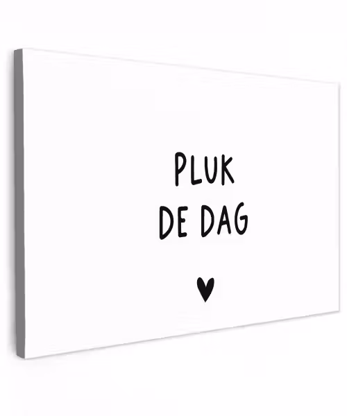 Quotes - Pluk de dag - Tekst - Zwart wit - Hartje Tuinposter op houten frame 2 cm dik klein -3d