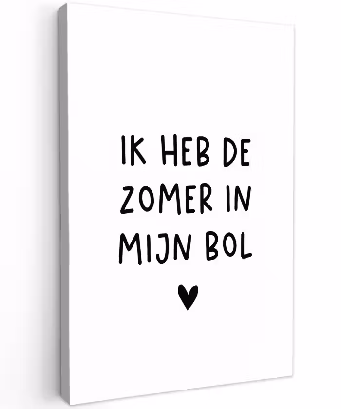 Quotes - Spreuken - André Hazes - Ik heb de zomer in mijn bol Tuinposter op houten frame 2 cm dik klein -3d