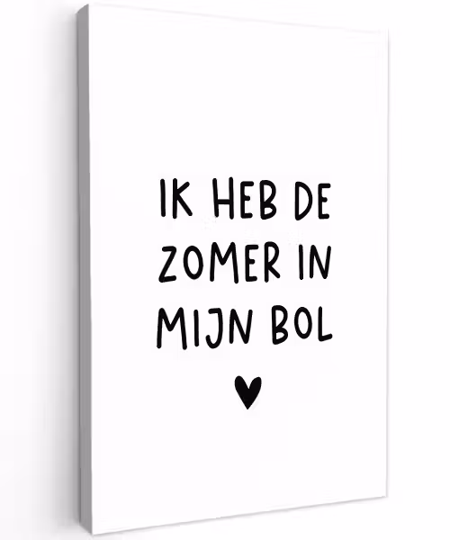 Quotes - Spreuken - André Hazes - Ik heb de zomer in mijn bol Tuinposter op houten frame 2 cm dik klein -3d