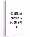 Quotes - Spreuken - André Hazes - Ik heb de zomer in mijn bol Tuinposter op houten frame 2 cm dik klein -3d