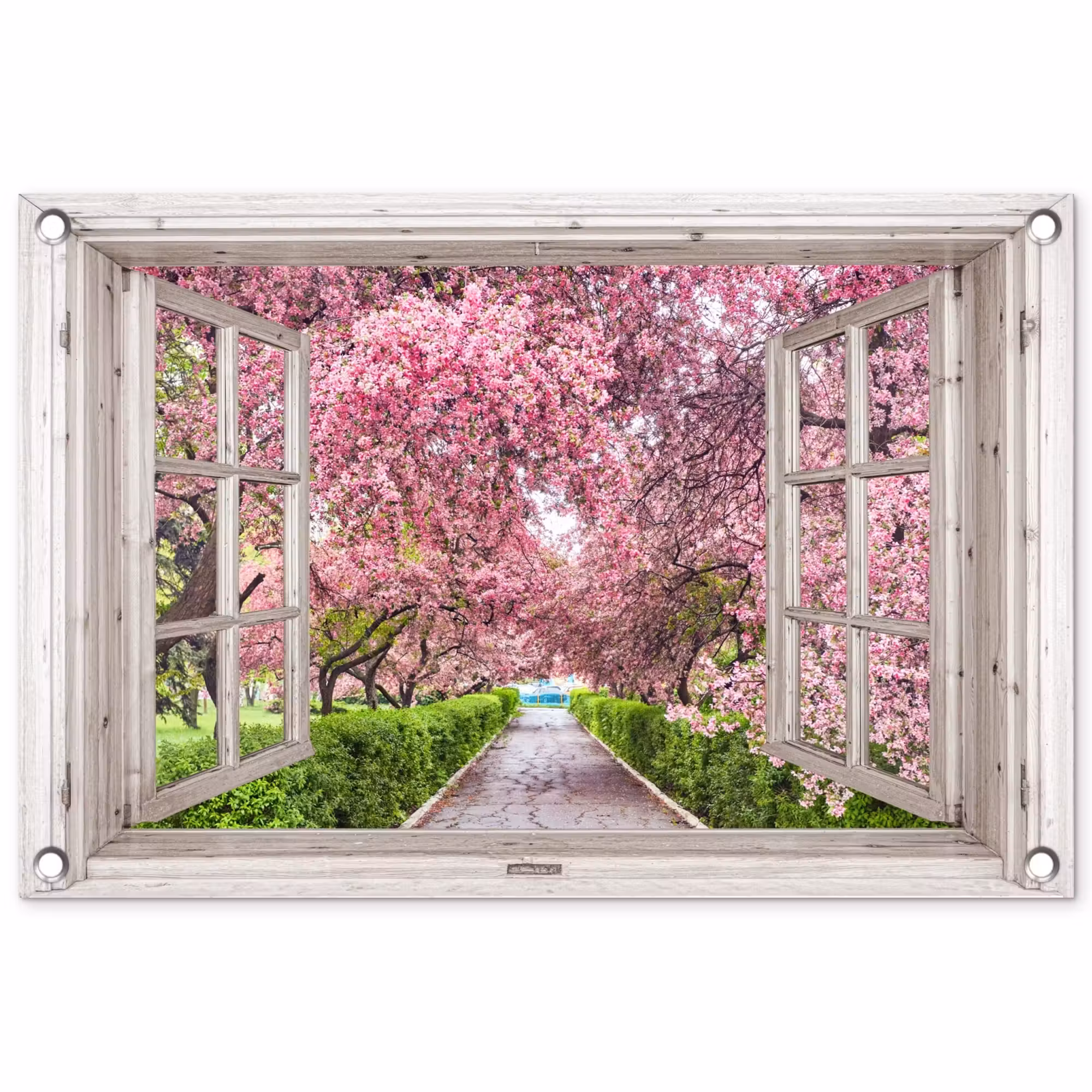Gartenposter - Ansichten von blühenden Kirschbäumen