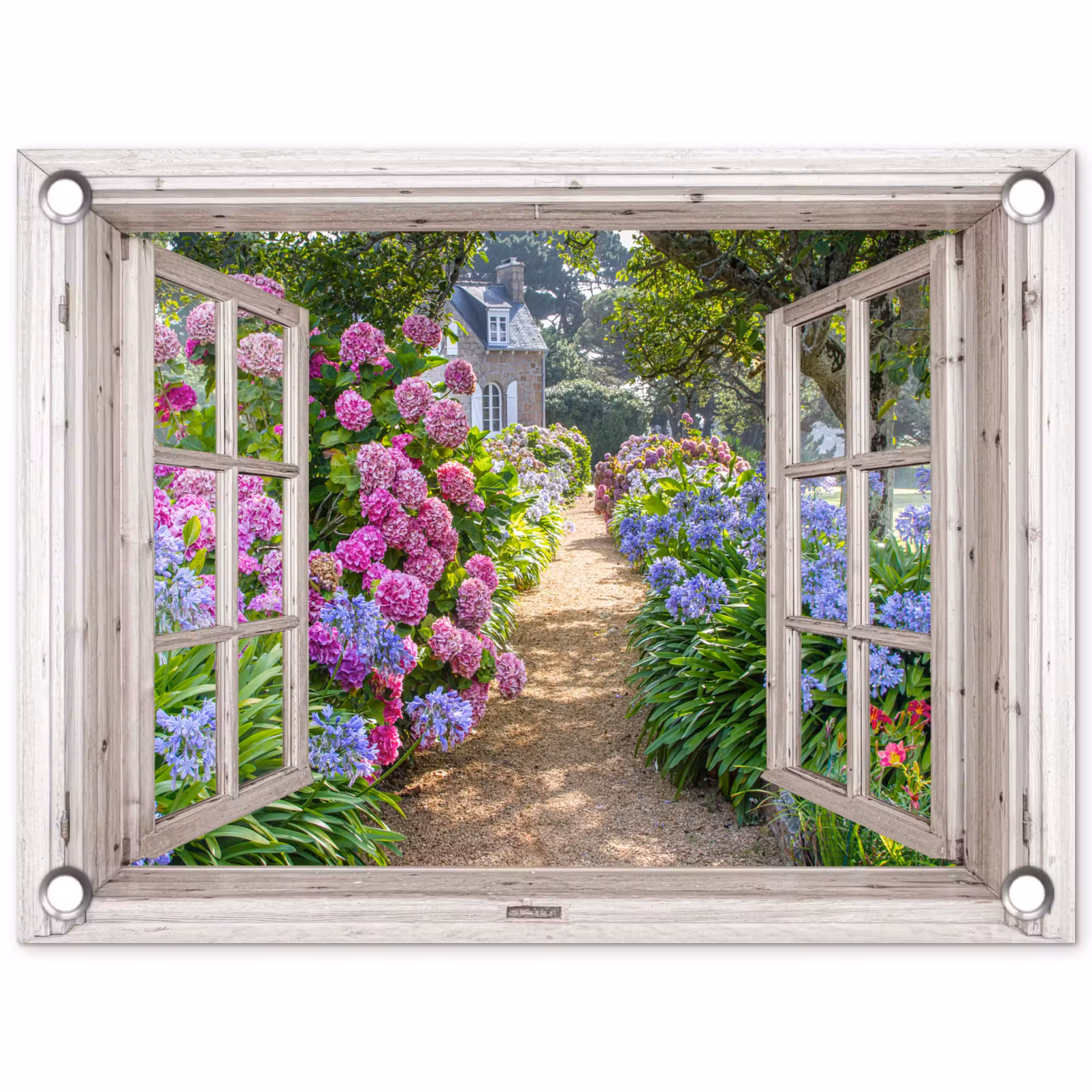 Gartenposter - Hortensie - Durchsichtig - Blumen - Sommer - Lila - Weg