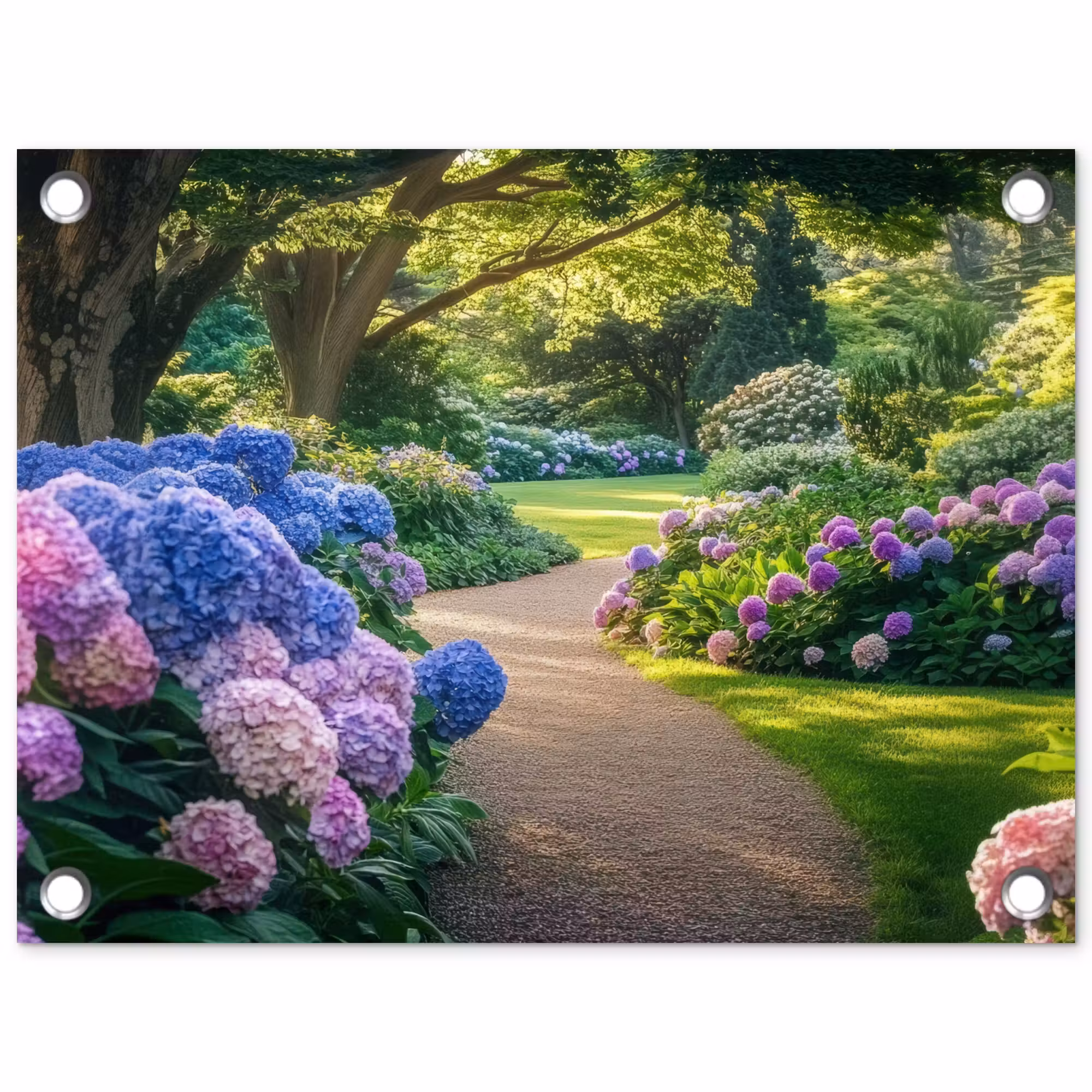 Gartenposter - Hortensienpark - Weg