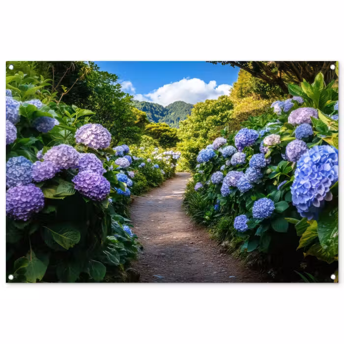 Gartenposter - Hortsensia - Kröte - Blumen