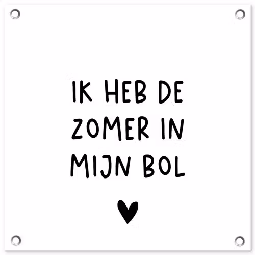 Ik heb de zomer in mijn bol - André Hazes - Spreuken - Quotes tuinposter los doek klein -3d