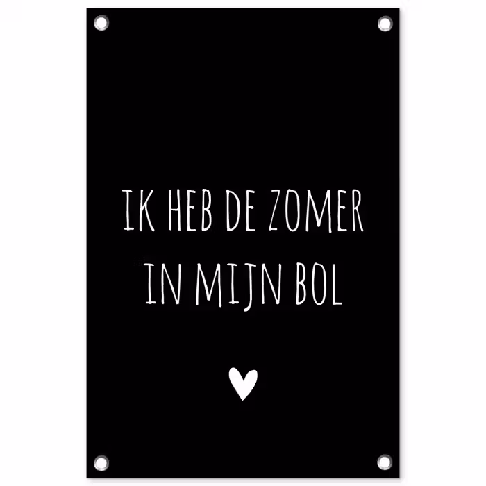 Ik heb de zomer in mijn bol - Quotes - Spreuken - André Hazes tuinposter los doek klein -3d