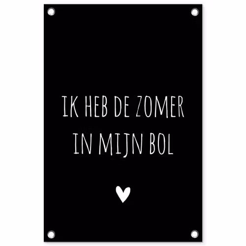 Ik heb de zomer in mijn bol - Quotes - Spreuken - André Hazes tuinposter los doek klein -3d