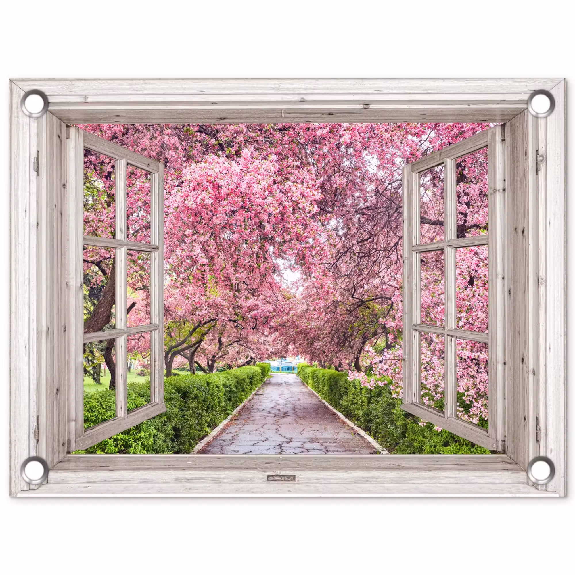 Gartenposter - Japanisch - Sakura - Blüte - Baum - Blütenzweige - Durchsichtig