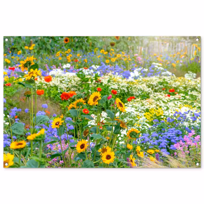 Gartenposter - Sommerblumen in voller Blüte