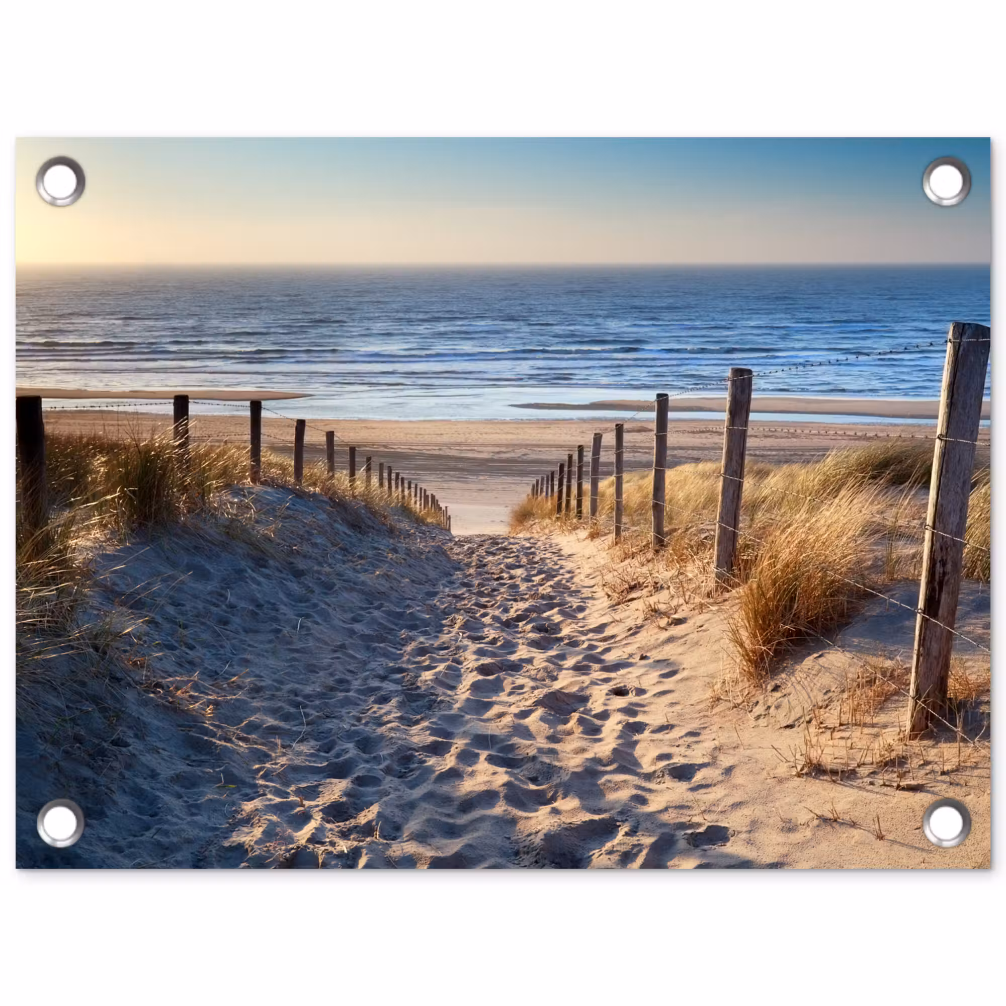 Gartenposter - Strand - Meer - Niederlande - Dünen - Sonne