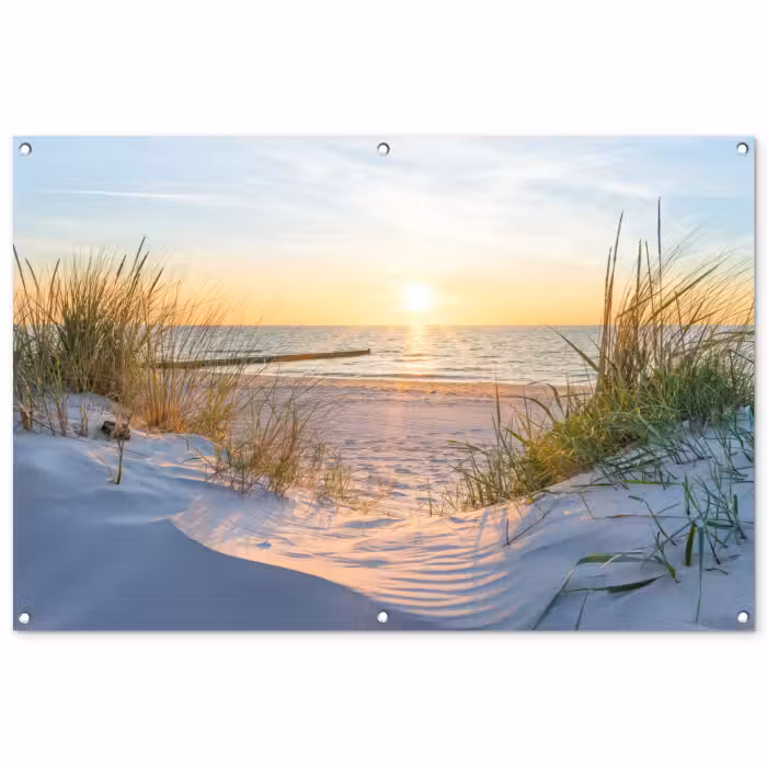 Gartenposter - Strand - Sonne - Düne - Gras - Sand - Horizont