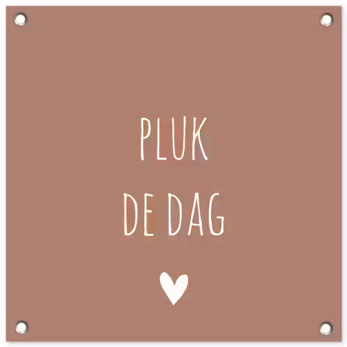 Quotes - Carpe diem - Pluk de dag - Spreuken tuinposter los doek klein -3d