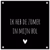 Quotes - Ik heb de zomer in mijn bol - André Hazes - Spreuken tuinposter los doek klein -3d