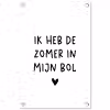Quotes - Spreuken - André Hazes - Ik heb de zomer in mijn bol tuinposter los doek klein -3d