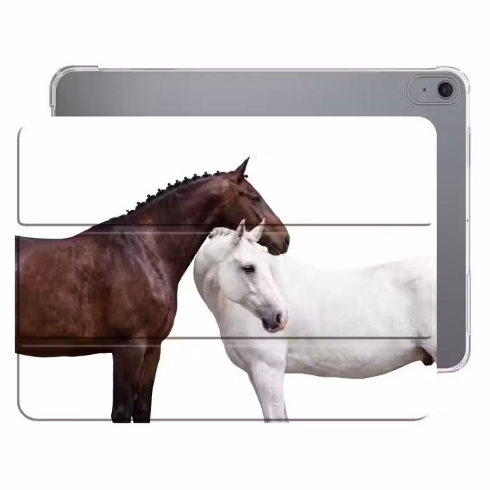 iPad-Hülle - Pferd - Modern - Balance
