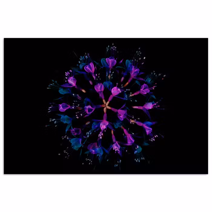 Poster - Blume - Lila - Blau - Makro - Schwarz